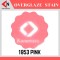 OVER GLAZE NO.1953 PINK สีบนเคลือบชนิดผง สีสำหรับเพ้นท์บนกระเบื้อง