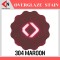 OVER GLAZE NO.304 MAROON สีบนเคลือบชนิดผง สีสำหรับเพ้นท์บนกระเบื้อง
