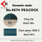 CERAMIC STAIN NO.4574 PEACOCK