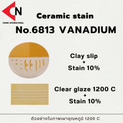 CERAMIC STAIN NO.6813 VANADIUM