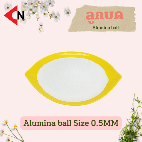 ALUMINA BALL 0.5 MM  ลูกบดอะลูมิน่า