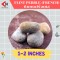 FLINT PEBBLE 1-2" หินบดฝรั่งเศส