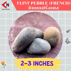 FLINT PEBBLE 2-3" หินบดฝรั่งเศส