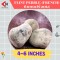 FLINT PEBBLE 4-6" หินบดฝรั่งเศส